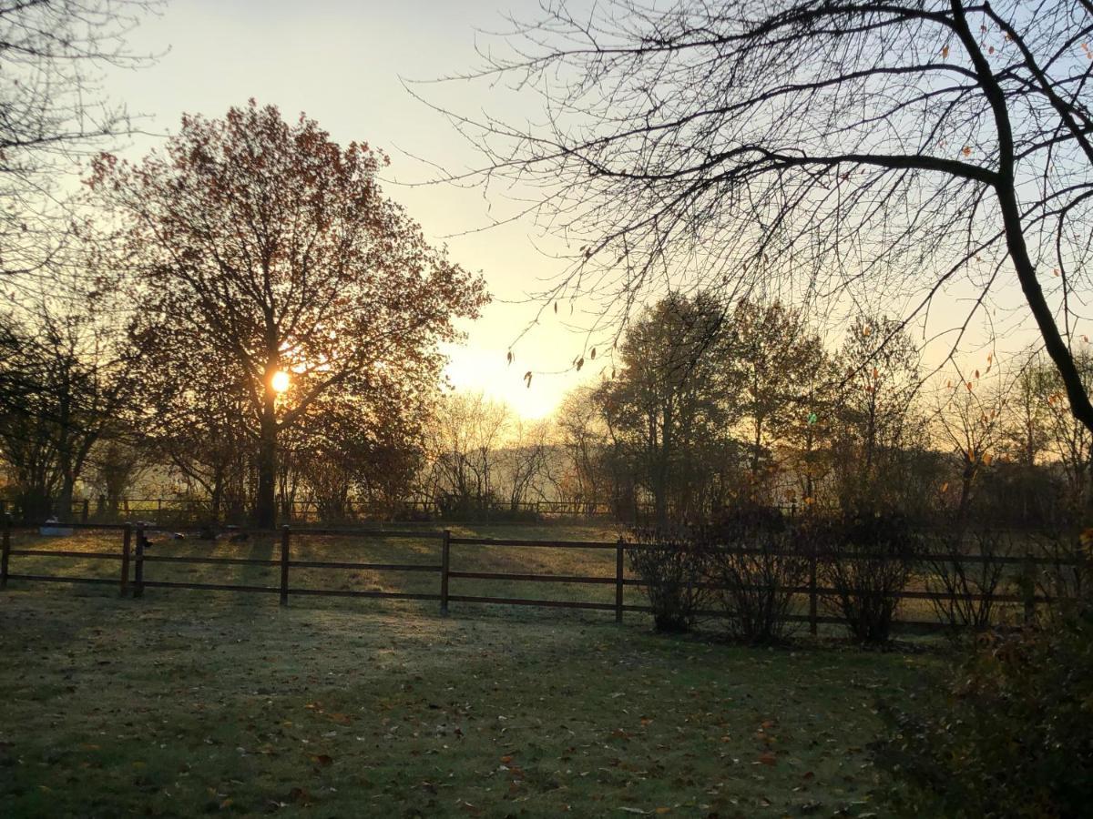 Villa Am Huelser Berg Naehe Duesseldorf Krefeld Bagian luar foto